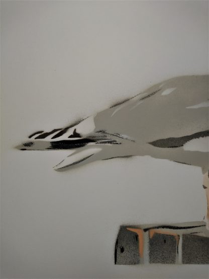 details of herring gulls tail feathers created with spraypaint