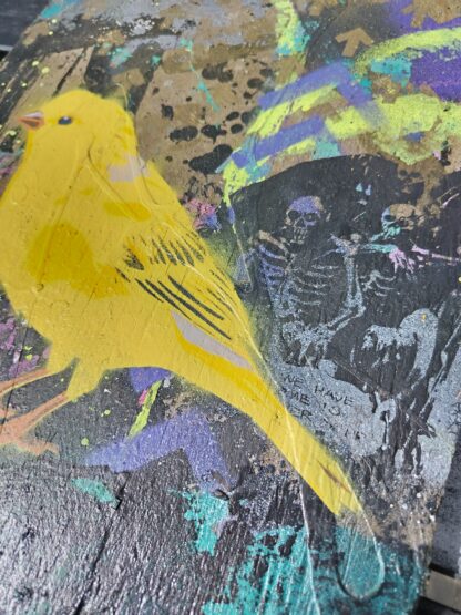 Canary, Above Ground - Image 6