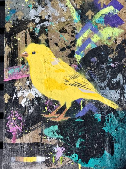 Canary, Above Ground