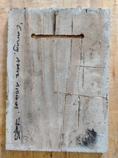 Canary, Above Ground - Image 3